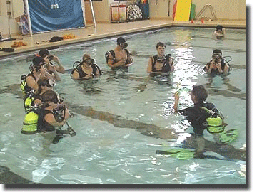 Scuba
            diving course instruction